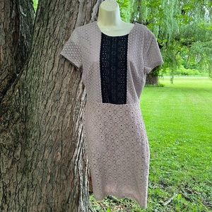 New York and Company tan lace dress 4